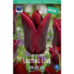 Tulipa	Тюльпан	Lasting Love (10 шт)