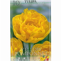 Tulipa	Тюльпан	Yellow Pomponette (10 шт)