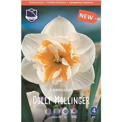 Narcissus	Нарцисс	Dolly Mollinger (5 шт)