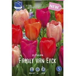 Family van Eyck mix (15 шт, 3 сорта по 5)