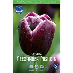 Тюльпан Alexander Pushkin