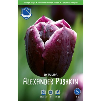 Тюльпан Alexander Pushkin