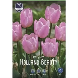 Tulipa	Тюльпан	Holland Beauty (10 шт)