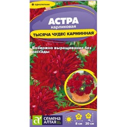 Цветы Астра Тысяча чудес карминная карликовая /Сем Алт/цп 0,15 гр.