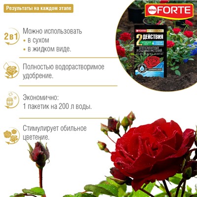 BONA FORTE Удобрение водорастворимое Для комнатных и садовых растений с аминокислотами, 100 г*10ШТ