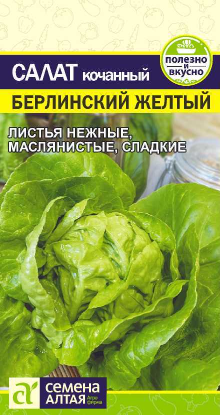 Салат берлинский желтый. Семена салата Зайка зазнайка семена Алтая. Салат кочанный аттракцион. Салат Зайка зазнайка. Салат аттракцион семена Алтая.