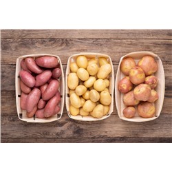 Органическая подкормка для Картофеля 5 л