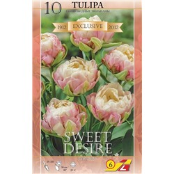 Tulipa	Тюльпан	Sweet Desire (10 шт)