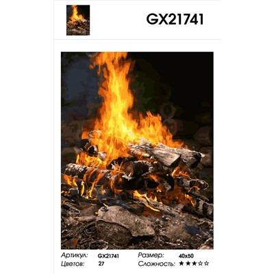 GX 21741