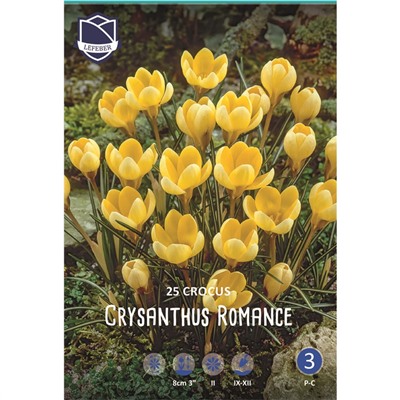 Крокус chrysanthus Romance