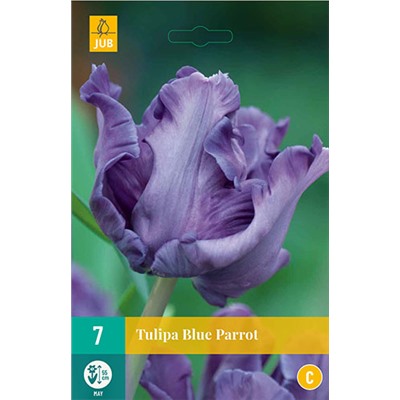 Tulipa	Тюльпан	Blue Parrot (10 шт)
