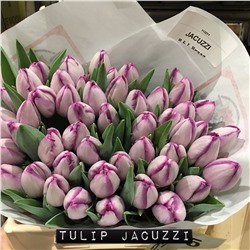Тюльпан	Jacuzzi 10шт