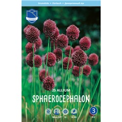 Allium	Аллиум	sphaerocephalon (25 шт)