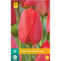Тюльпан	Red Impression 10шт