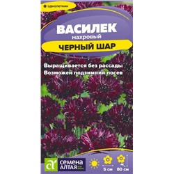 Цветы Василек Черный шар махровый/Сем Алт/цп 0,3 гр.