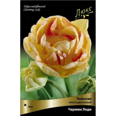 Tulipa	Тюльпан	Charming Lady (10 шт)