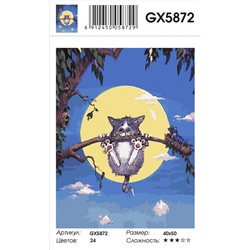 GX 5872 Приключение при луне