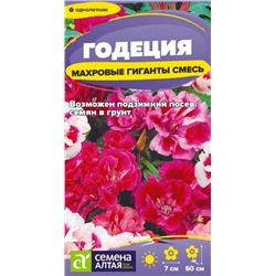 Цветы Годеция Махровые гиганты смесь/Сем Алт/цп 0,05 гр