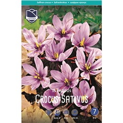 Crocus	Крокус	sativus saffraan (15 шт)