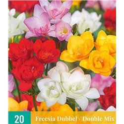 Фрезия	Dubbel / Double Mix 20шт