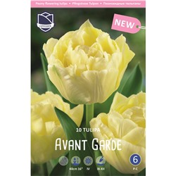 Tulipa	Тюльпан	Avant Garde (10 шт)