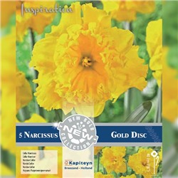 Нарцисс	Gold Disc NEW 5шт