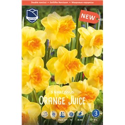 Narcissus	Нарцисс	Orange Juice (5 шт)