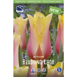 Тюльпан Blushing Lady Фасовка 10