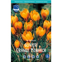Крокус olivieri Orange Monarch