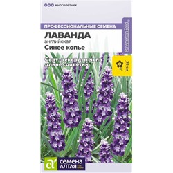 Цветы Лаванда Синее копье узколистная/Сем Алт/цп 5 шт. многолетник НОВИНКА