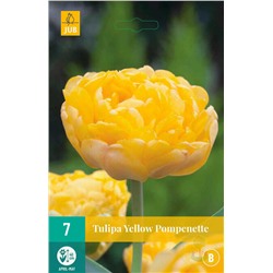 Тюльпан	Yellow Pompenette 7шт