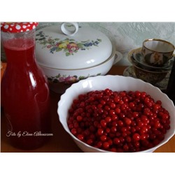 Сироп ягоды клоповки (пластик)