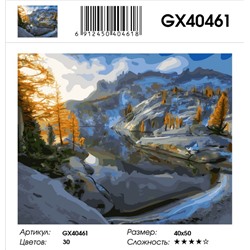GX 40461