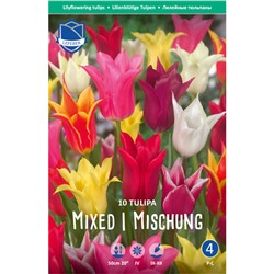 Тюльпан lily flowering Mix